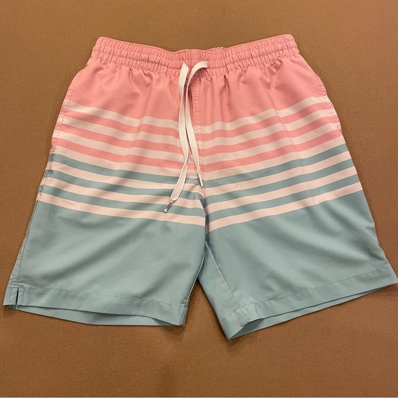 Chubbies The On The Horizons Mesh Brief Lined Swim Trunks Size Small - Picture 1 of 10